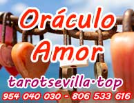Amor Amor