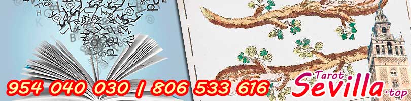 Significado del Dos de Bastos