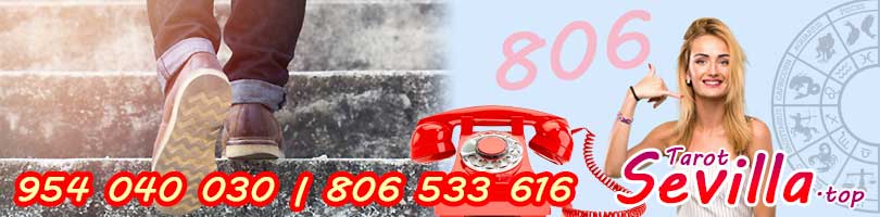 ¿Qué aptitudes puedes encontrar?