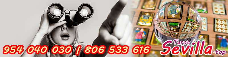 ¿Existe algún Club de Fans?