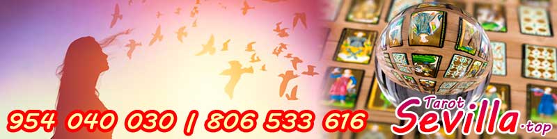 ¿Conoces el Significado de los Sueños? 