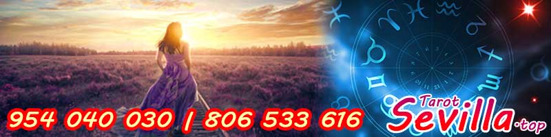 Descubre los tipos de signos Descubre los tipos de signos