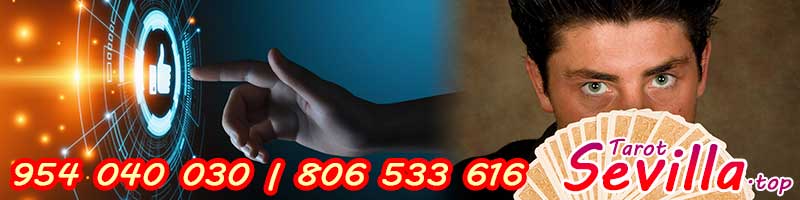 ¿Cómo funciona el tarot virtual de Pedro Contesta?