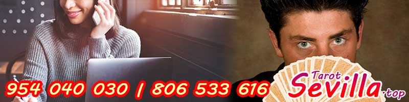 Aprende como hacer que Pedro Responde te conteste