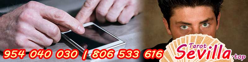 Usa Pedro Contesta online