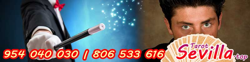 ¿Sabías que hay trucos en Pedro Responde?