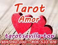 Amor Amor