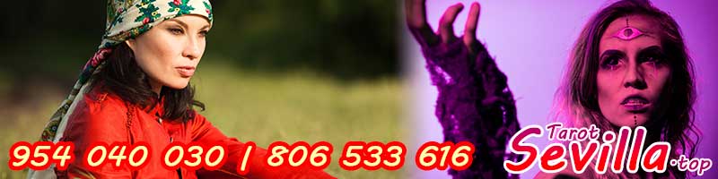 Interpretación del tarotista