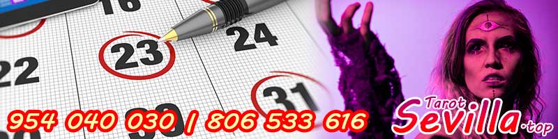 Tarot gitano semanal