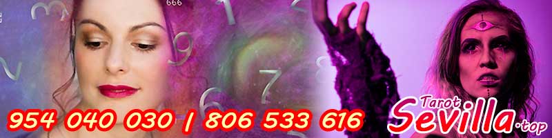 Expertos con respuesta inmediata