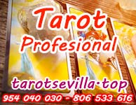 Profesional Profesional