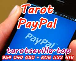 PayPal PayPal