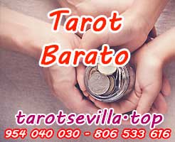 Barato y Bueno Barato y Bueno