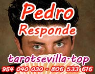 Pedro Responde Pedro Responde