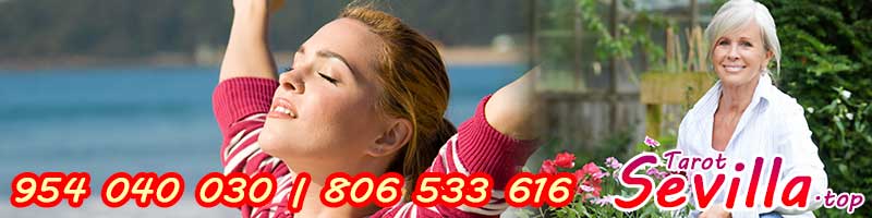 Esmeralda Llanos y su gabinete pueden ayudarte