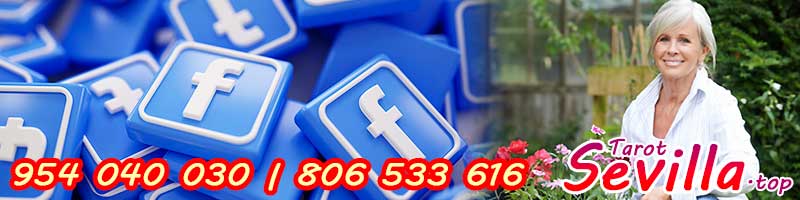 Descubre el Facebook de Esmeralda Llanos