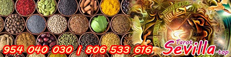 ¿Qué es el horóscopo de Bionet? ¿Qué es el horóscopo de Bionet?