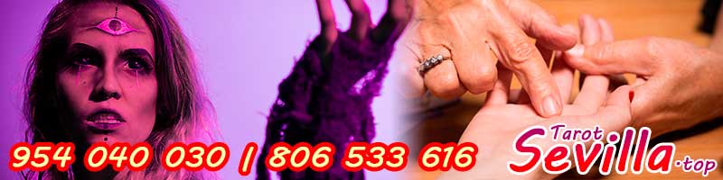 ¿Cómo leer la mano?