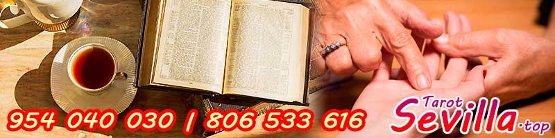 ¿Cómo aprender a leer la mano?