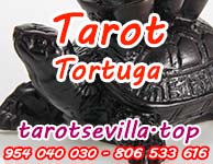 Tortuga Tortuga