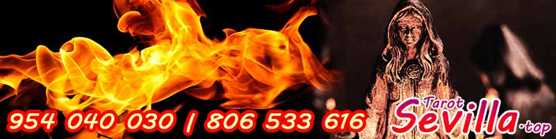 Conoce todo sobre los Meigas y maravíllate con sus historias