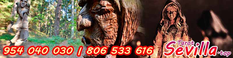 Hablemos de los tipos de meigas que existen y qué tienen de especial