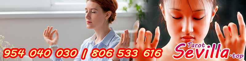 ¿Cómo meditar correctamente?