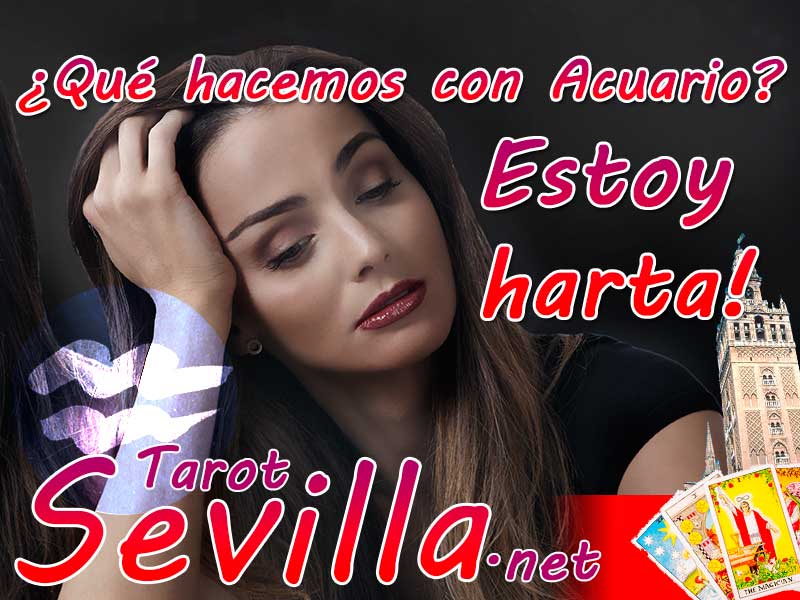 tarotsevilla tarotsevilla